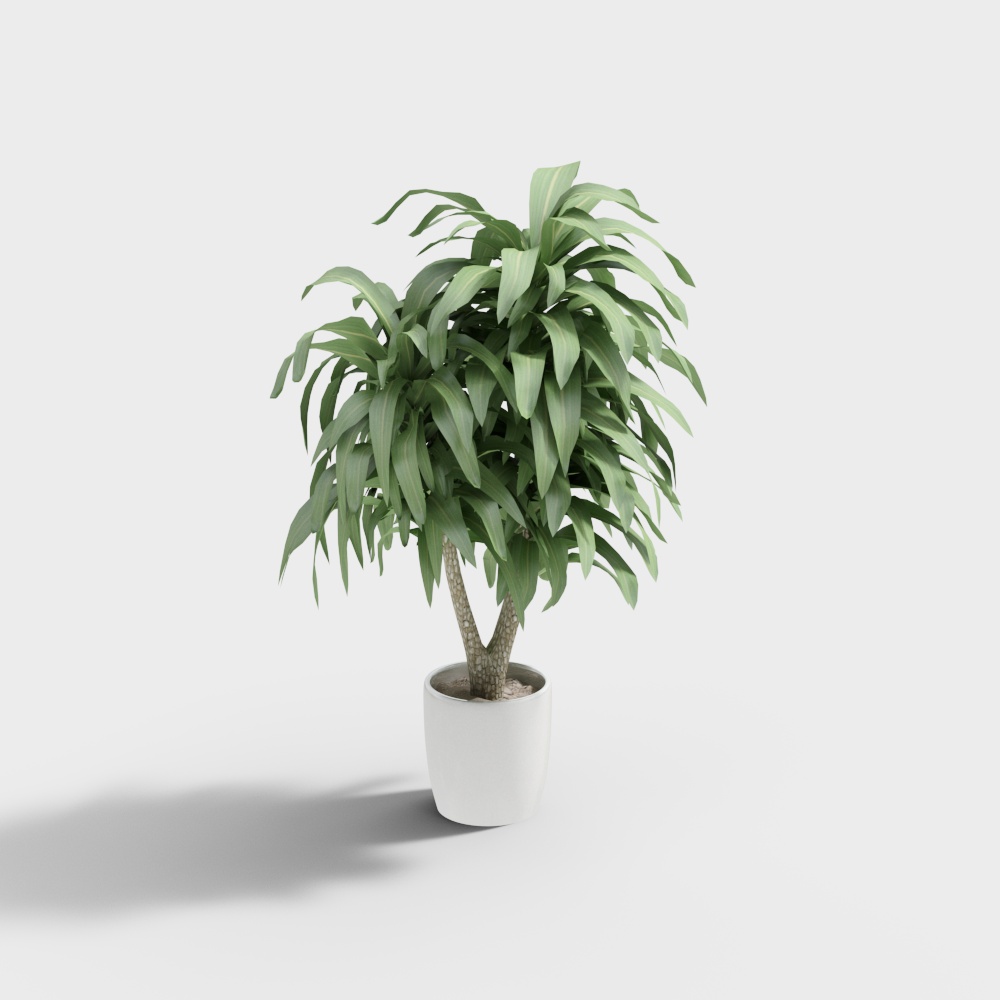 Modern conference room decoration green plants