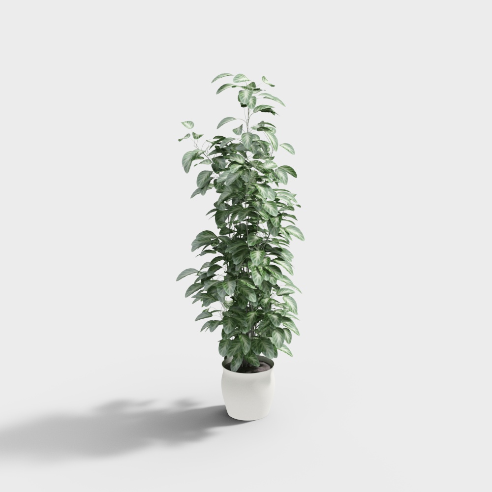 Lively Indoor Plant 3D model