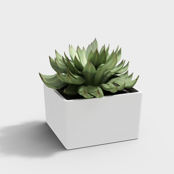 Desert Oasis 3D Model - Stylish Succulent for Various Projects