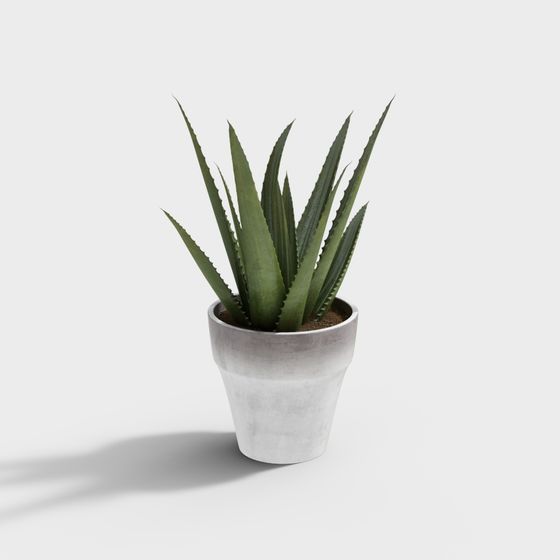 Desert Oasis Low Poly 3D Model for Creative Spaces