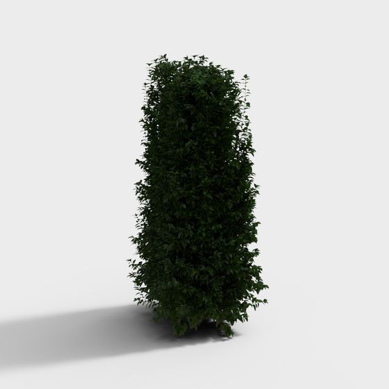 Privacy Hedge 3D model