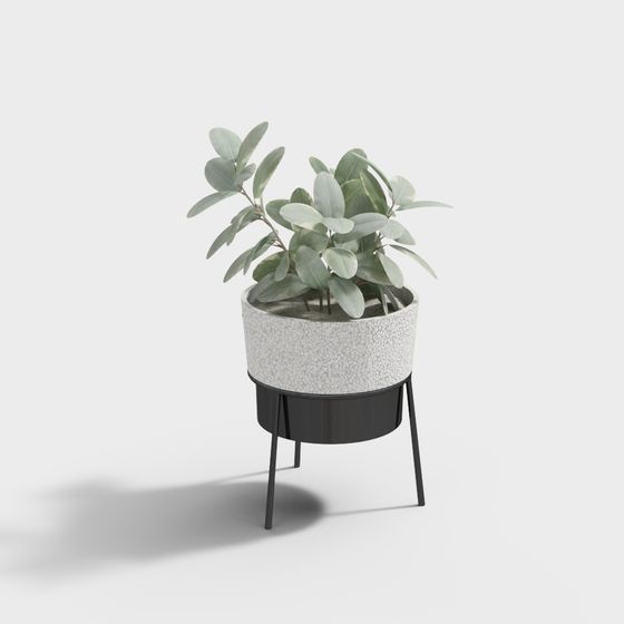 YB-Nordic bonsai potted green plant combination 354639-2