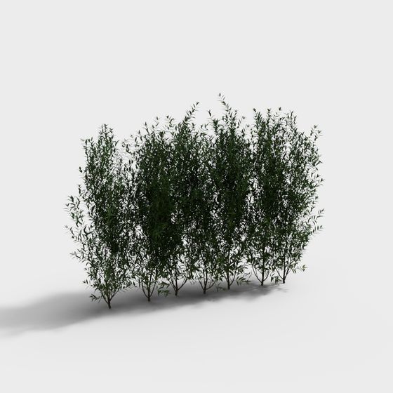 Modern Green Shrubs 3D Model for Memberships