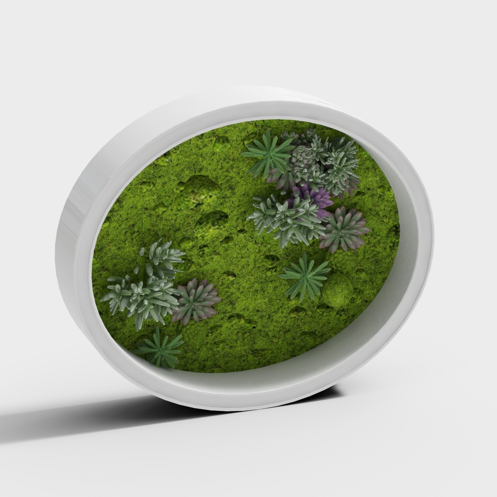 Parete verde Plantscapers