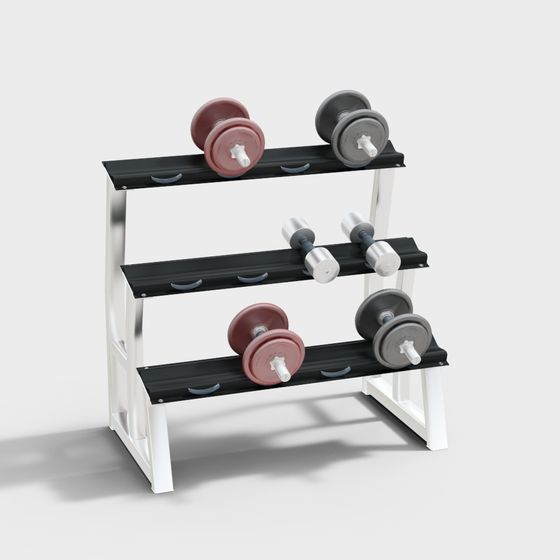 Home Gym Rack 3D model