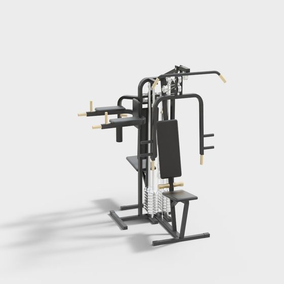 Modern Multifunctional Fitness Equipment 3D model