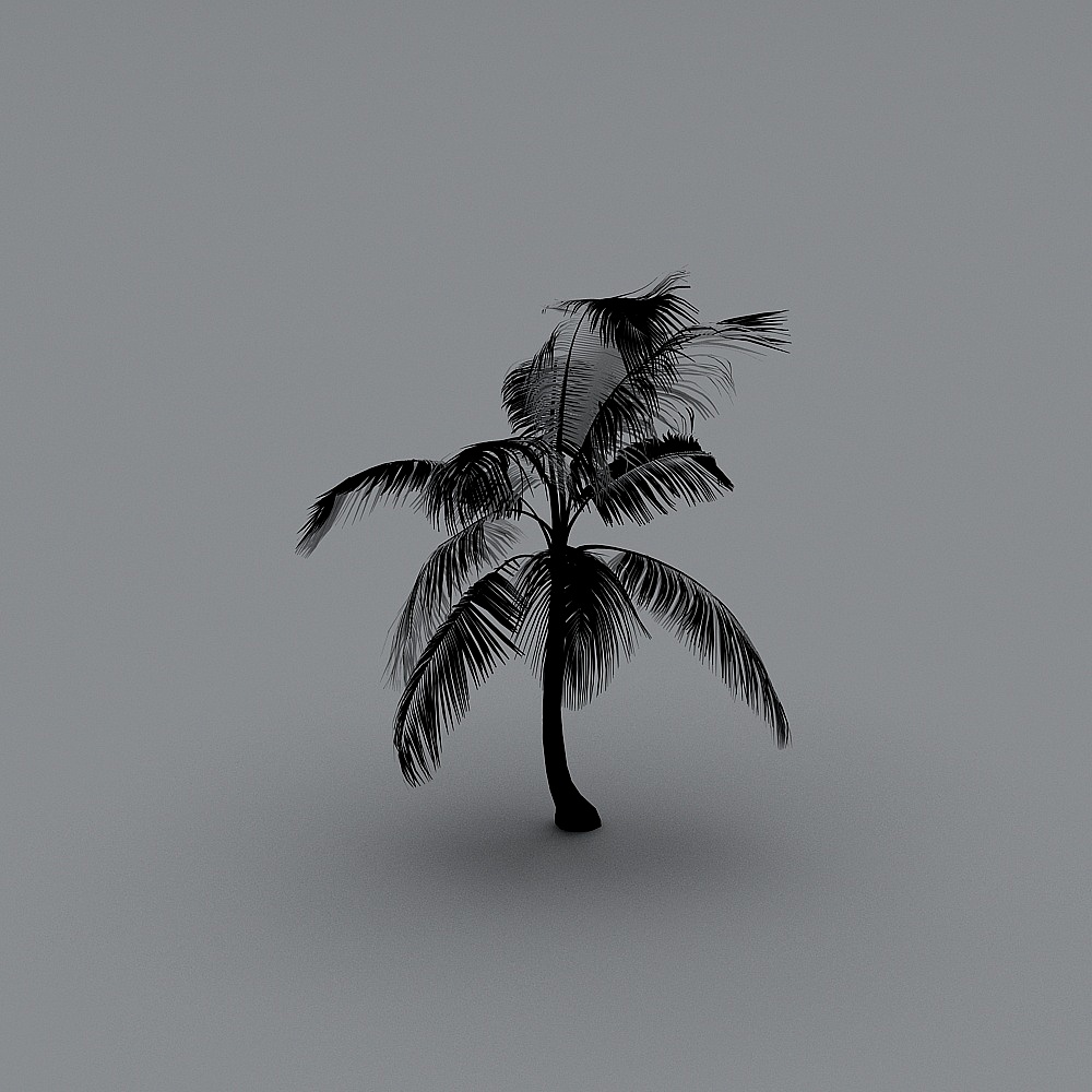 Palm1