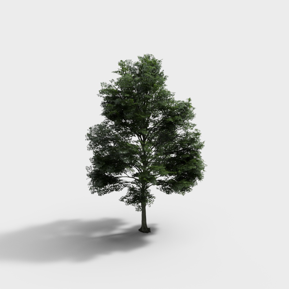 Realistic Low-Poly Oak Tree 3D model