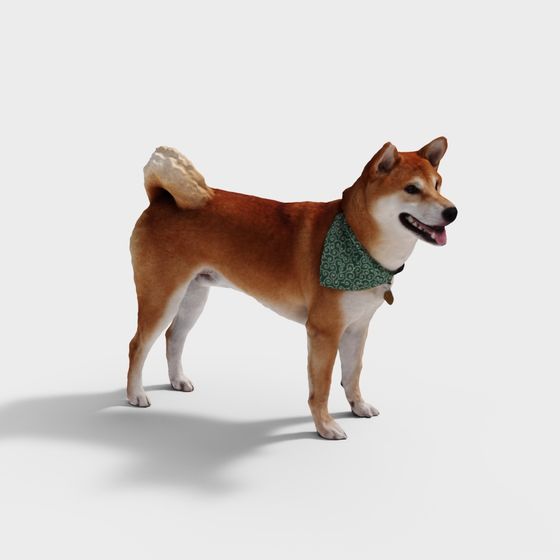 Vibrant Shiba Inu 3D Model for Creative Projects