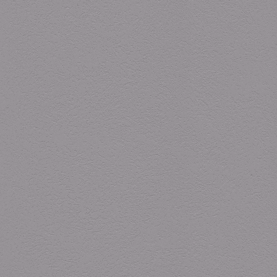 Stylish Carpolya Spar Colored Velvet Wall Paint 3D Model in Gray