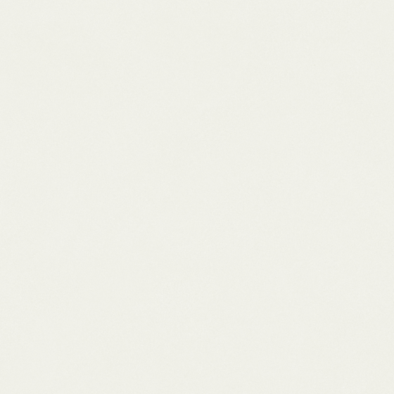 Carpoly Microcement White 3D Model for Modern Finishes