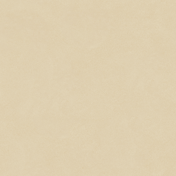 Carpoly Microcement MS-10 (fine sand)