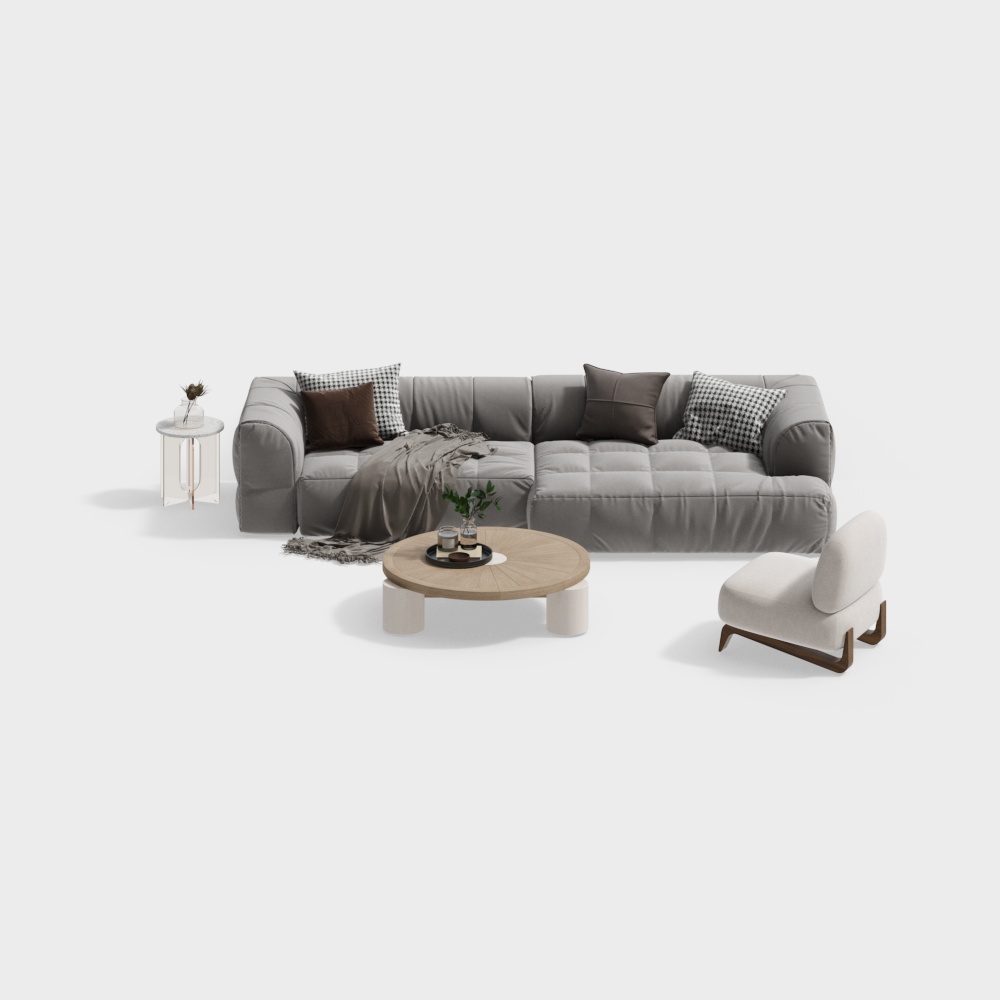 Modern sofa coffee table combination