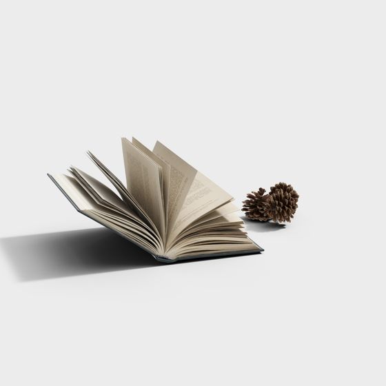 Realistic Open Book 3D Model