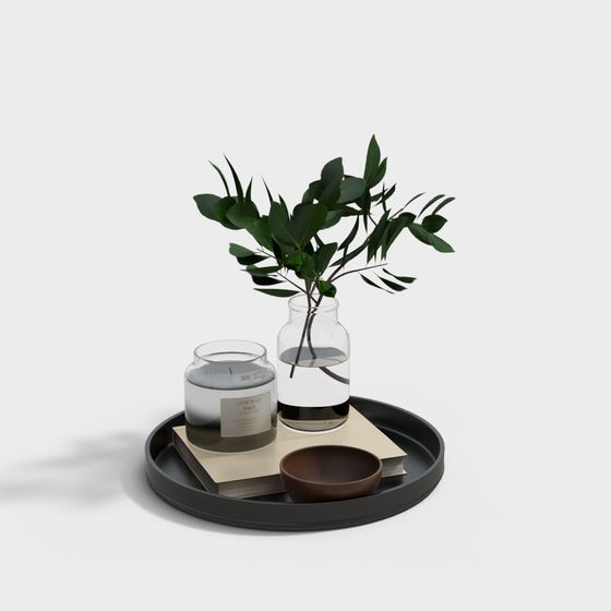 Tranquil Coffee Table Arrangement 3D model
