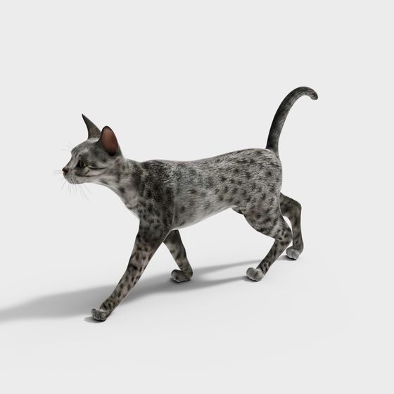 Lifelike Egyptian Cat 3D model