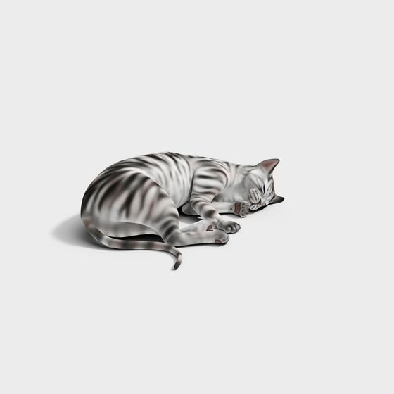 Sleeping Tabby Cat 3D model