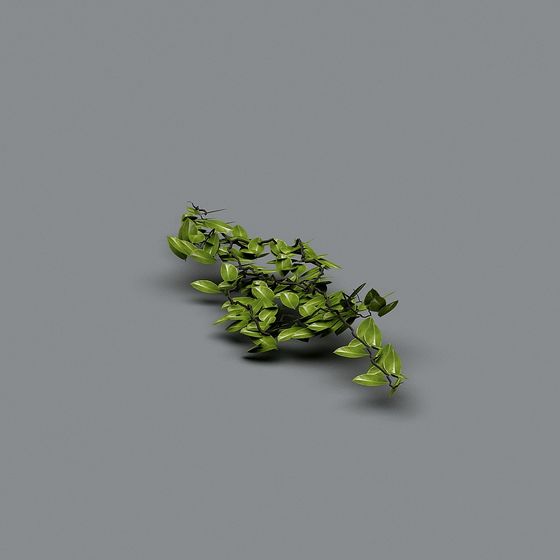 Vibrant Vine 3D Model for Natural Environments