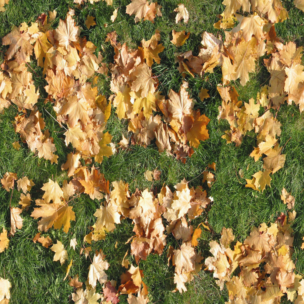 Grass with leaves-finishes