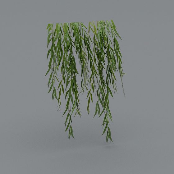 Realistic Weeping Willow Branches 3D Model
