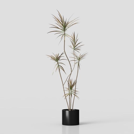 Modern Greenery 3D Model