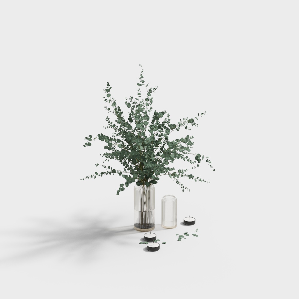 Eucalyptus Garden 3D model