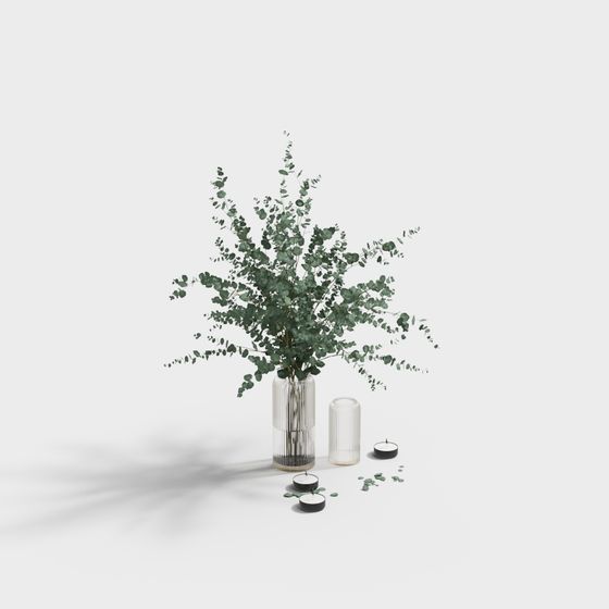 Eucalyptus Garden 3D model