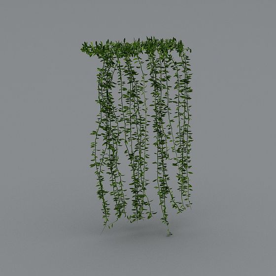 Hanging Plant Rack 3D model for Natural Décor