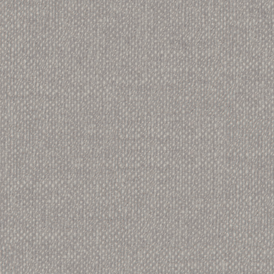 Buru Plain Brown Texture 3D Model in Gray