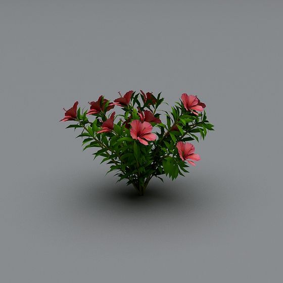 Vibrant Tropical Flower Bush 3D model