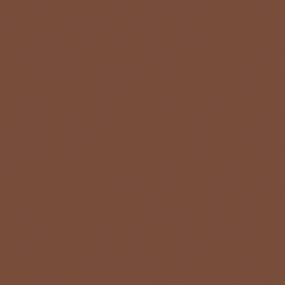 Caramel Brown Wall Paint 3D Model