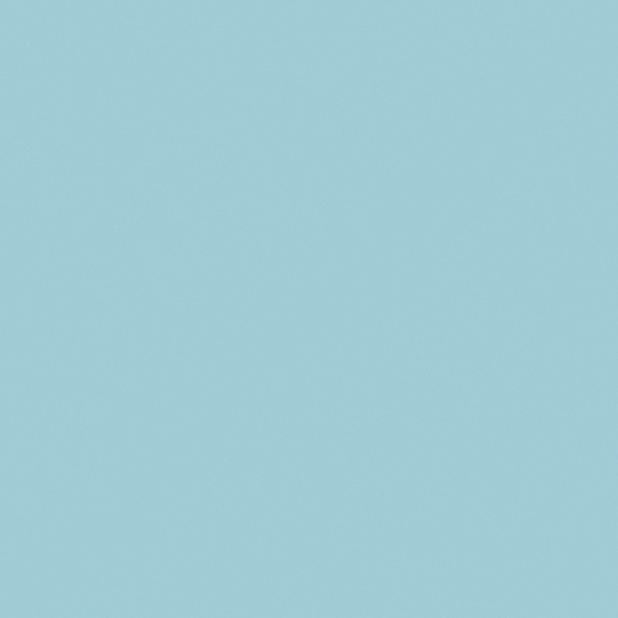 CP 19BL16-78 Paddle Blue