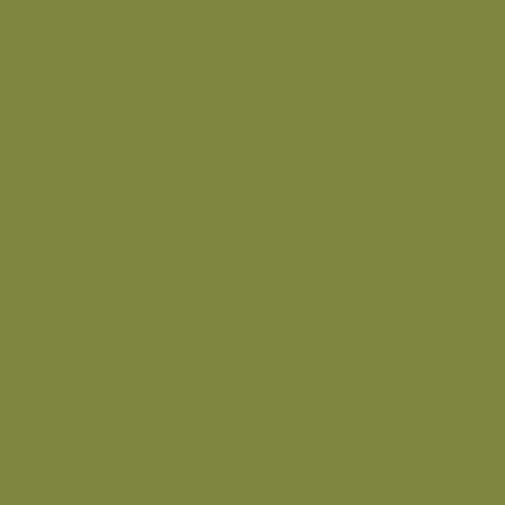 CP 21GY36-54 Green Lawn Paint