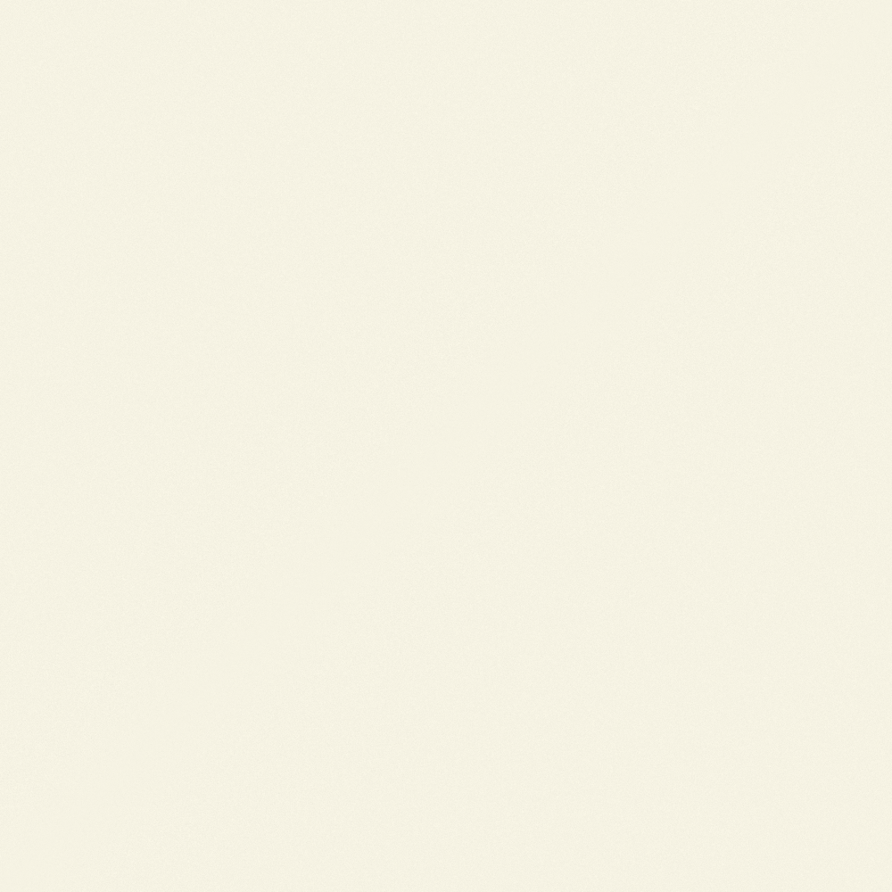 CP 40YL09-92 whole wheat white