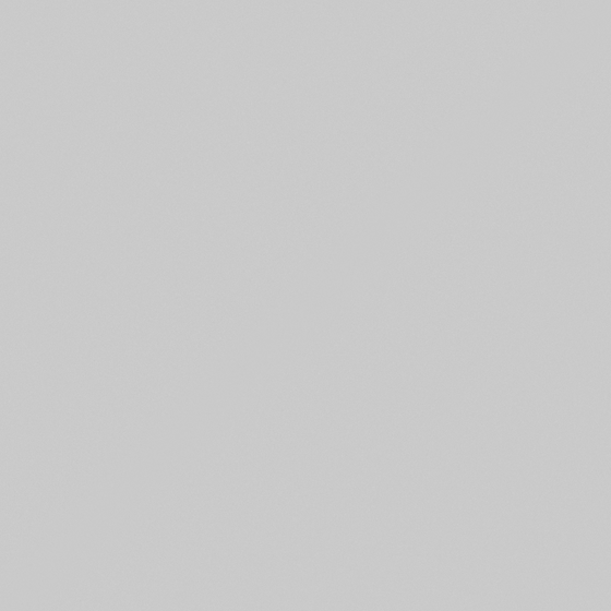 CP 40RD02-78 Koala Bear Gray Paint 3D Model for Walls