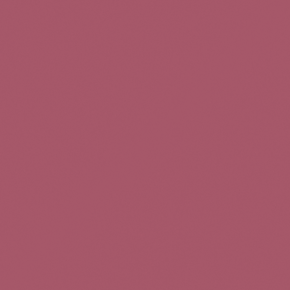 Ruby Wall Paint 3D Model in Brown
