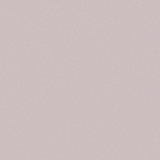 Rich Earth Color CP 58RD07-76 Wall Paint 3D Model