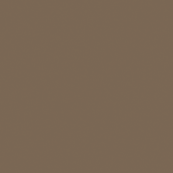 Chic Brown Wall Paint 3D Model