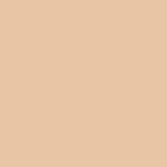 Kraft Paper Color Wall Paint 3D Model