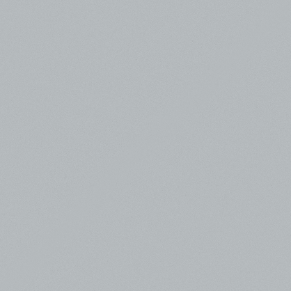 CP 91BL02-73 chinchilla gray