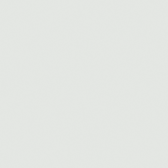 CP 98YL02-88 birch moth white