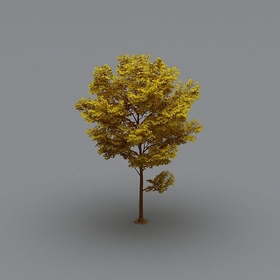 Autumn Maple Tree 3D model