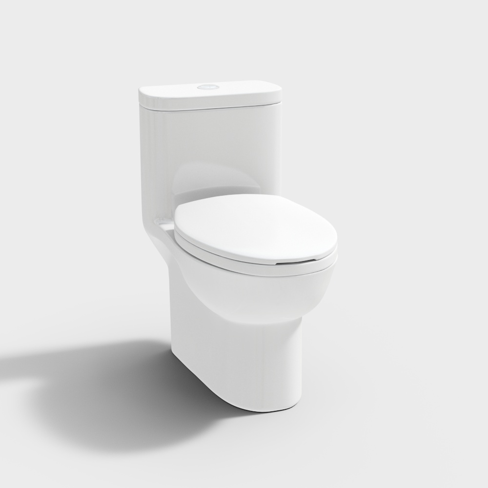 Braun one-piece toilet C2168XW-3