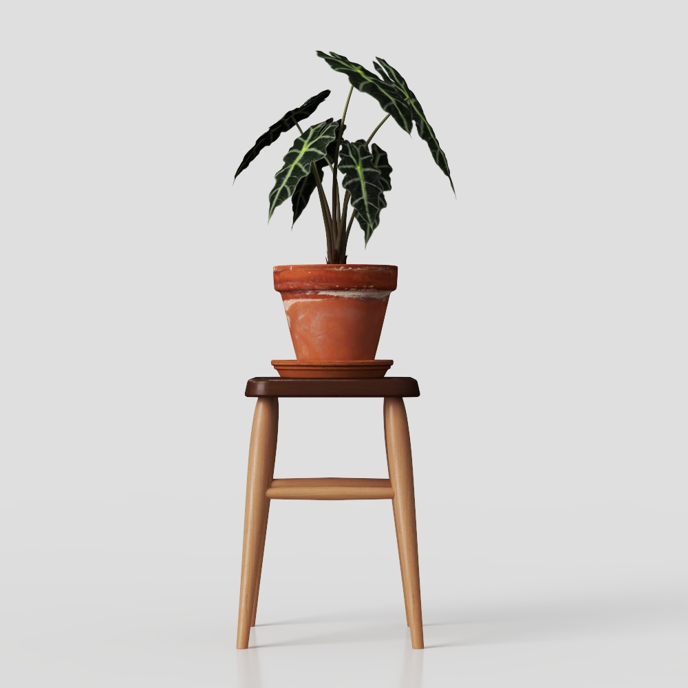 Lush Indoor Plant 3D Model – Realistic Terracotta Pot