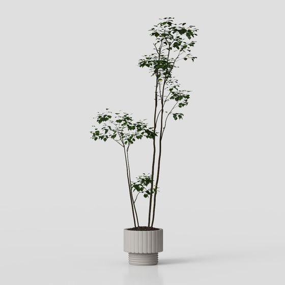 Vibrant Indoor Potted Plant 3D model