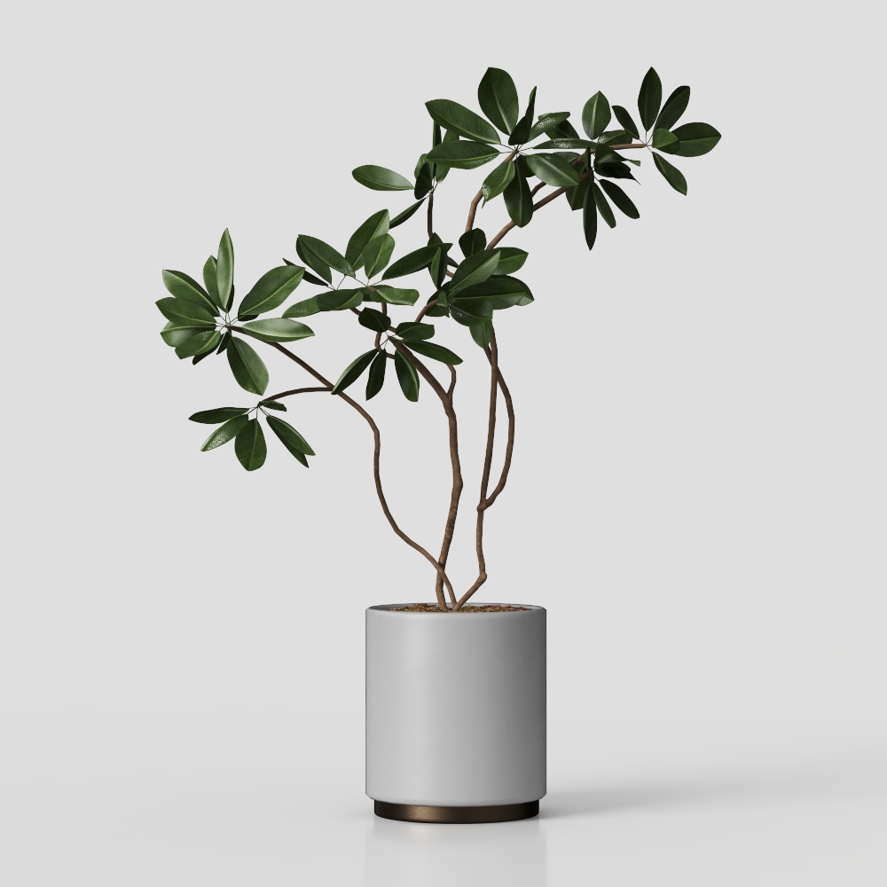 Elegant Low-Poly Plant Pot 3D model