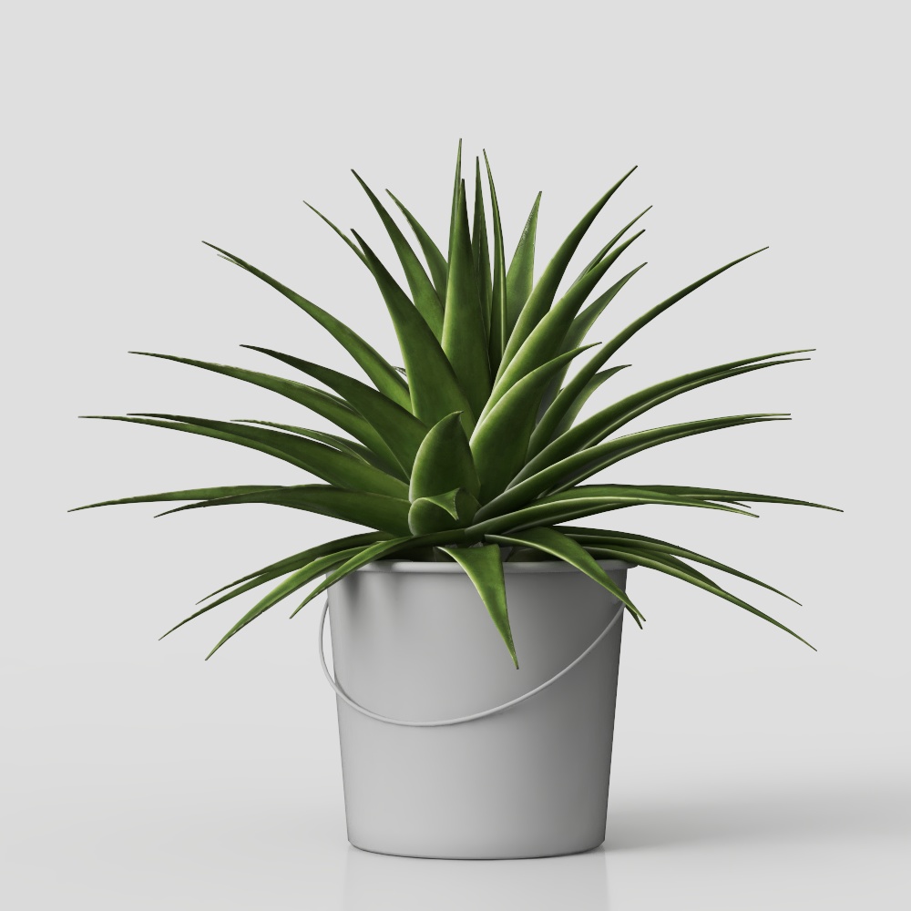Desert Oasis Potted Plant 3D model