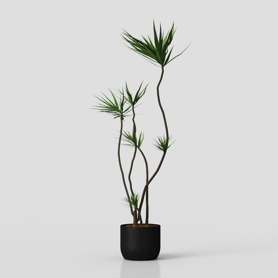 Tropical Potted Plant 3D model
