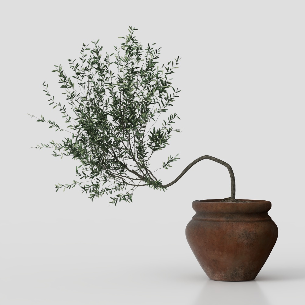 Plantes en pot de style Wabi-sabi