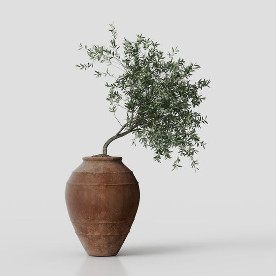 Olive Tree in Pot 3D Model
